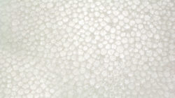 Expanded Polystyrene