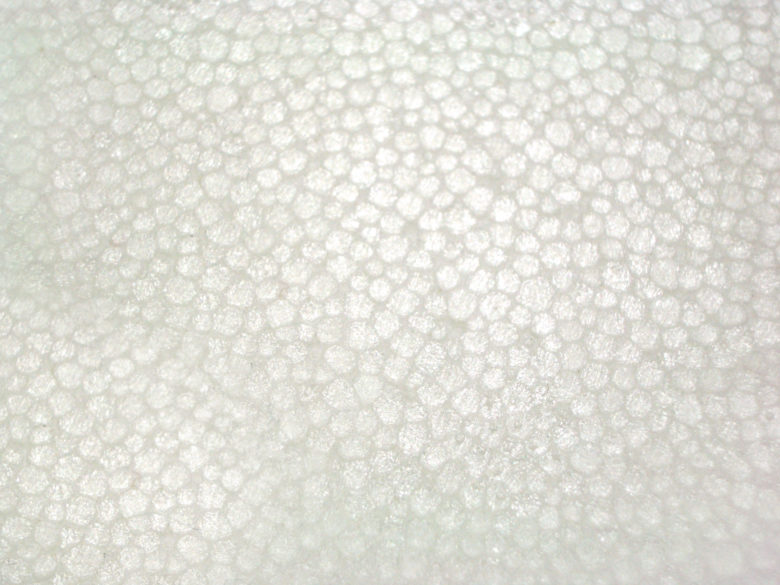 Expanded Polystyrene