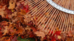 Yard Debris & Other Organics