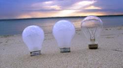 Light Bulbs